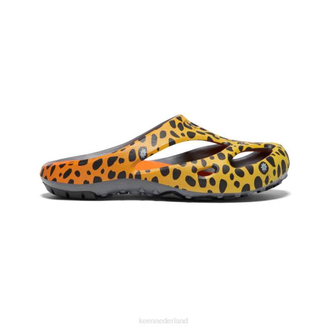 KEEN shanti-kunsten 804T130 schoenen de cheetah-regenboog Heren