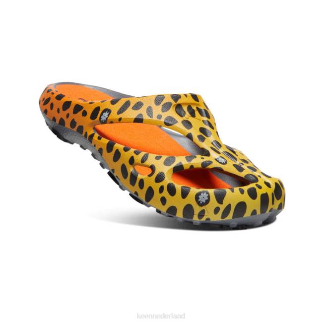 KEEN shanti-kunsten 804T130 schoenen de cheetah-regenboog Heren