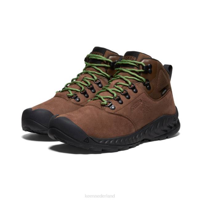 KEEN Nxis explorer waterdichte laars 804T12 schoenen bizons/camping Heren