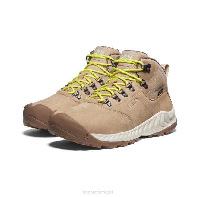 KEEN Nxis explorer waterdichte laars 804T13 schoenen safari/berk Heren