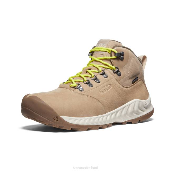 KEEN Nxis explorer waterdichte laars 804T13 schoenen safari/berk Heren