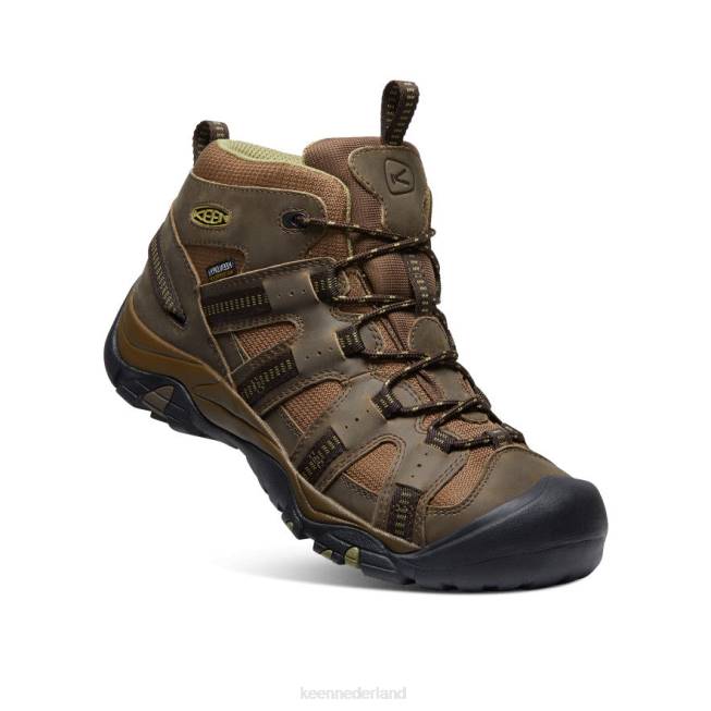 KEEN siskiyou waterdicht midden 804T327 schoenen donker olijf/olijf kleurloos Heren