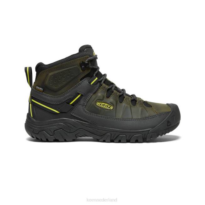 KEEN targhee iii waterdicht midden 804T227 schoenen bosnacht/teunisbloem Heren
