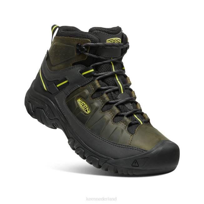 KEEN targhee iii waterdicht midden 804T227 schoenen bosnacht/teunisbloem Heren