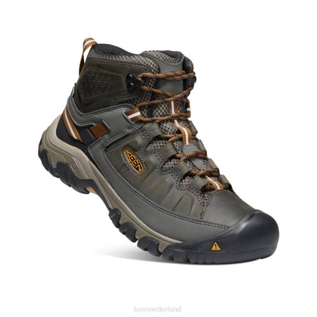 KEEN targhee iii waterdicht midden breed 804T246 schoenen zwart olijf/goudbruin Heren