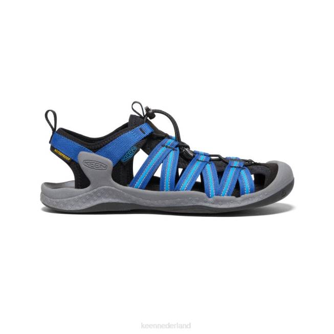 KEEN drift creek h2 sandaal 804T112 schoenen staalgrijs/briljantblauw Heren
