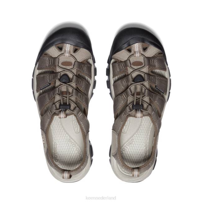 KEEN nieuwpoort h2 804T43 schoenen gestroomd/kantine Heren