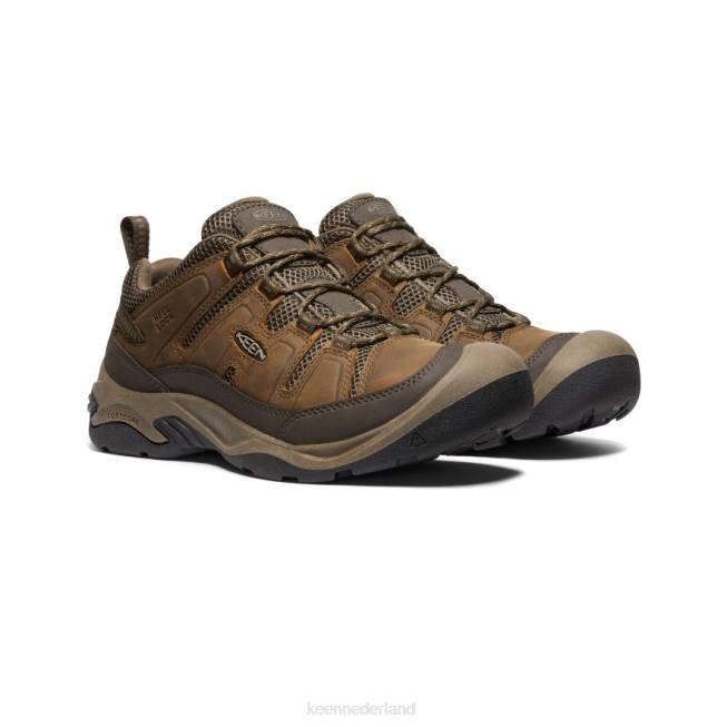 KEEN circadia ventilatieschoen 804T172 schoenen shitake/gestroomd Heren