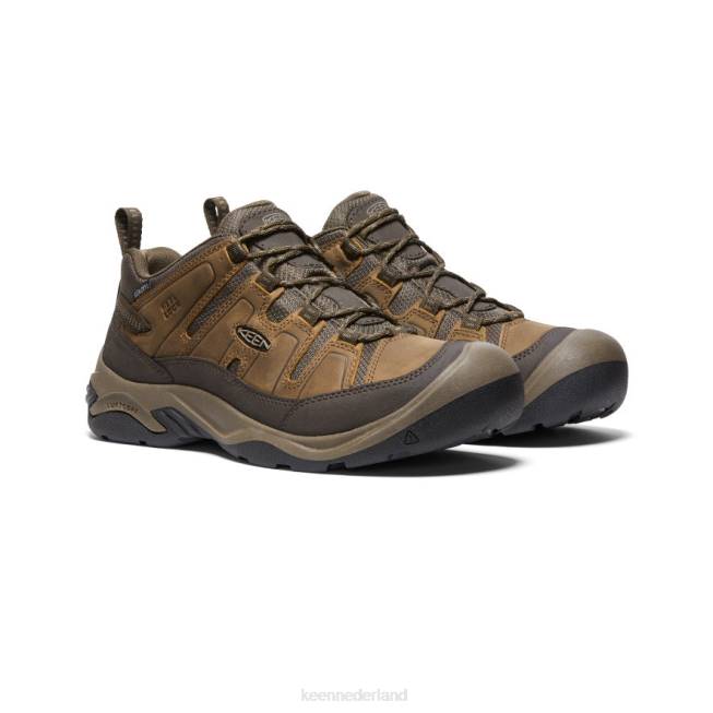 KEEN circadia waterdichte schoen 804T101 schoenen shitake/gestroomd Heren