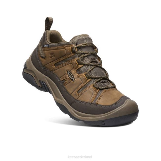 KEEN circadia waterdichte schoen 804T101 schoenen shitake/gestroomd Heren