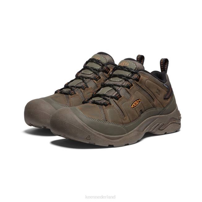 KEEN circadia waterdichte schoen 804T104 schoenen kantine/curry Heren