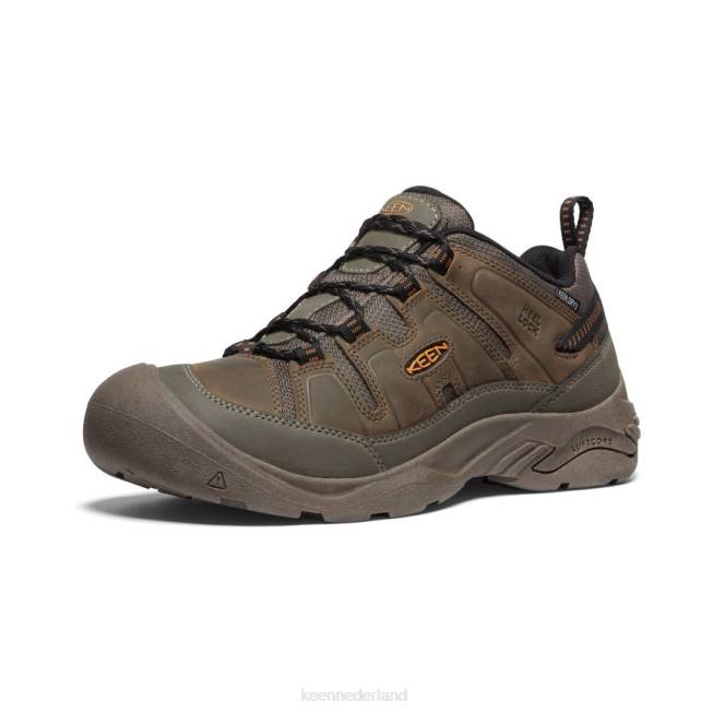 KEEN circadia waterdichte schoen 804T104 schoenen kantine/curry Heren