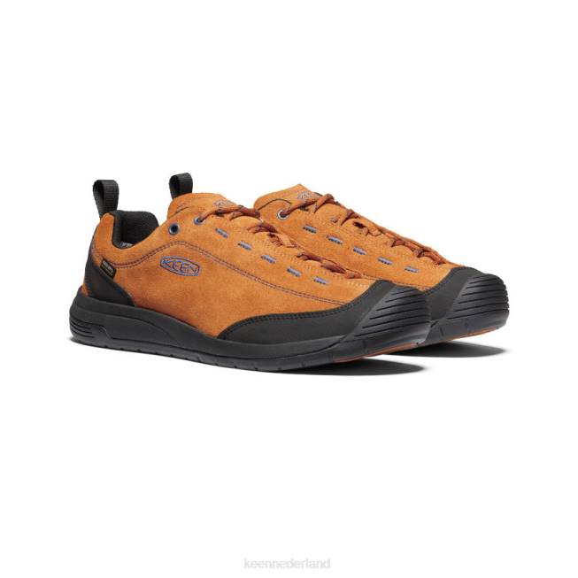 KEEN jaspis ii waterdichte schoen 804T346 schoenen pompoenkruid/zwart Heren