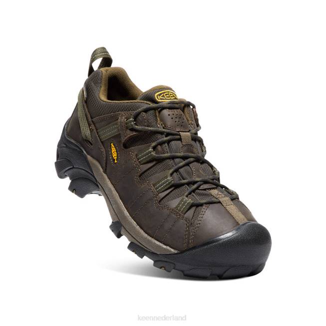 KEEN targhee ii waterdicht 804T208 schoenen kantine/donker olijf Heren