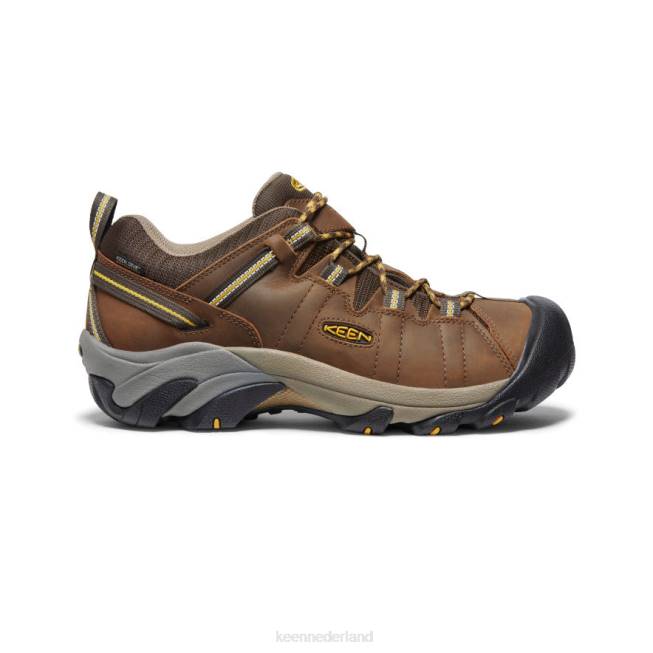 KEEN targhee ii waterdicht breed 804T294 schoenen cascadebruin/goudgeel Heren