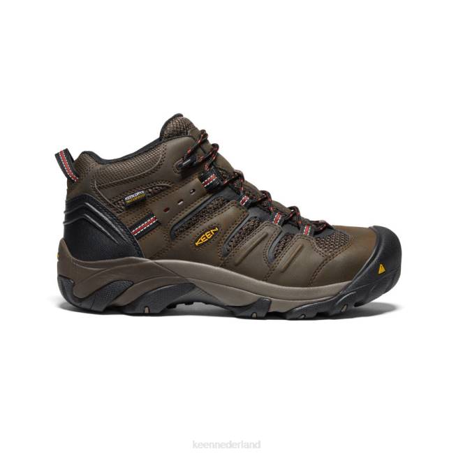 KEEN lansing midden waterdicht (stalen neus) 804T92 schoenen cascade bruin/gestroomd Heren