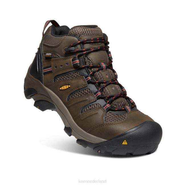 KEEN lansing midden waterdicht (stalen neus) 804T92 schoenen cascade bruin/gestroomd Heren