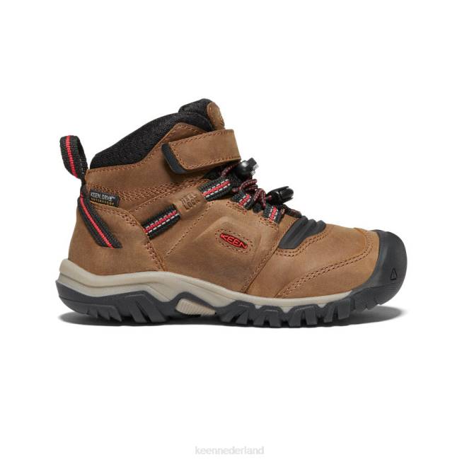 KEEN Ridgeflex waterdichte laars 804T905 schoenen bizons/rode loper kleine kinderen