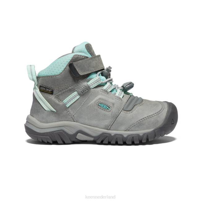 KEEN Ridgeflex waterdichte laars 804T906 schoenen grijs/blauwe tint kleine kinderen