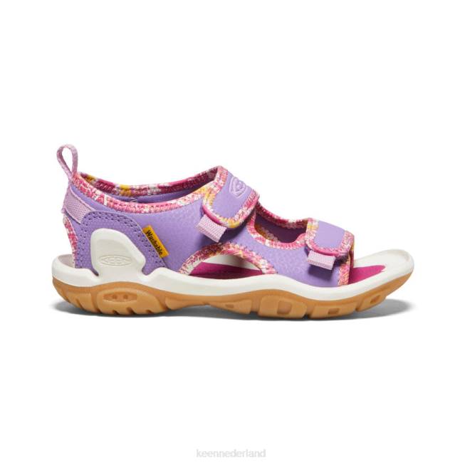 KEEN knotch creek met open teen 804T887 schoenen Engelse lavendel/festivalfuchsia Grote kinderen