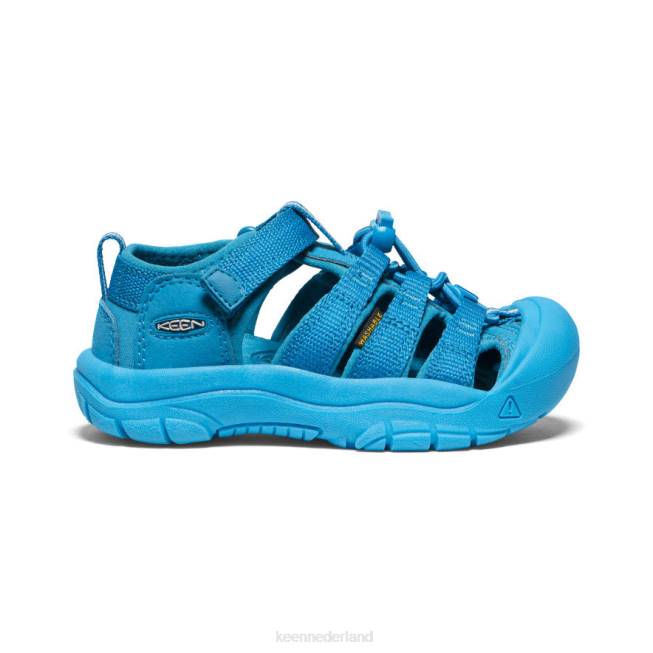 Nieuwpoort schoenen on sale