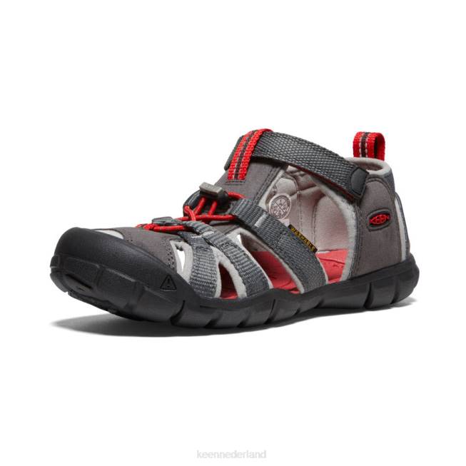 KEEN zeekamp ii cnx 804T789 schoenen magneet/motregen Grote kinderen