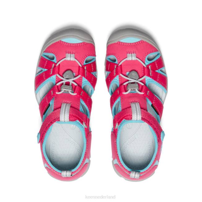KEEN zeekamp ii cnx 804T802 schoenen azalea/ipanema Grote kinderen