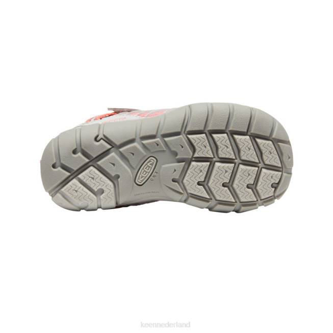 KEEN Chandler cnx 804T889 schoenen motregen/dubarry kleine kinderen