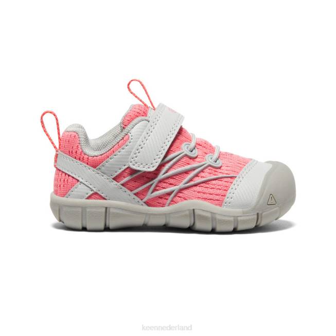 KEEN Chandler cnx 804T900 schoenen motregen/dubarry peuters