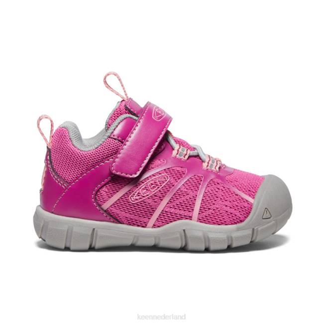 KEEN chandler 2 cnx-sneaker 804T884 schoenen festival fuchsia/ibis roos peuters