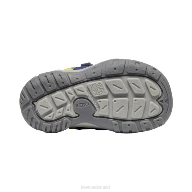 KEEN knotch holle sneaker met dubbele band 804T958 schoenen blauwe diepten/teunisbloem peuters
