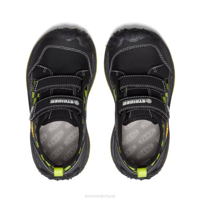 KEEN snelheid hond 804T813 schoenen zwart/multi kleine kinderen