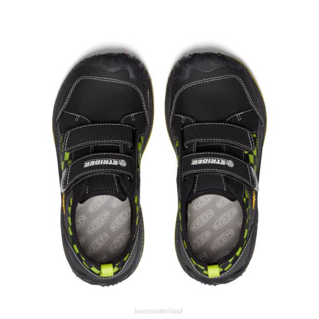 KEEN snelheid hond 804T875 schoenen zwart/multi Grote kinderen
