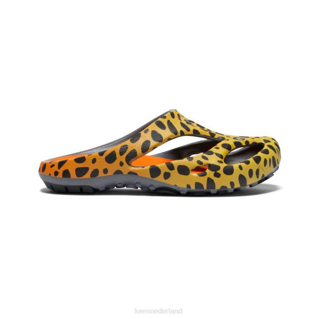 KEEN shanti-kunsten 804T670 schoenen de cheetah-regenboog vrouwen