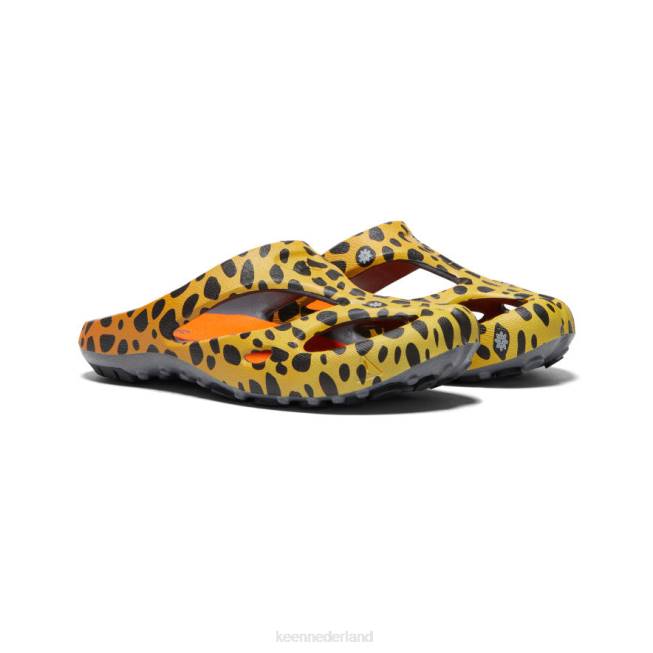 KEEN shanti-kunsten 804T670 schoenen de cheetah-regenboog vrouwen