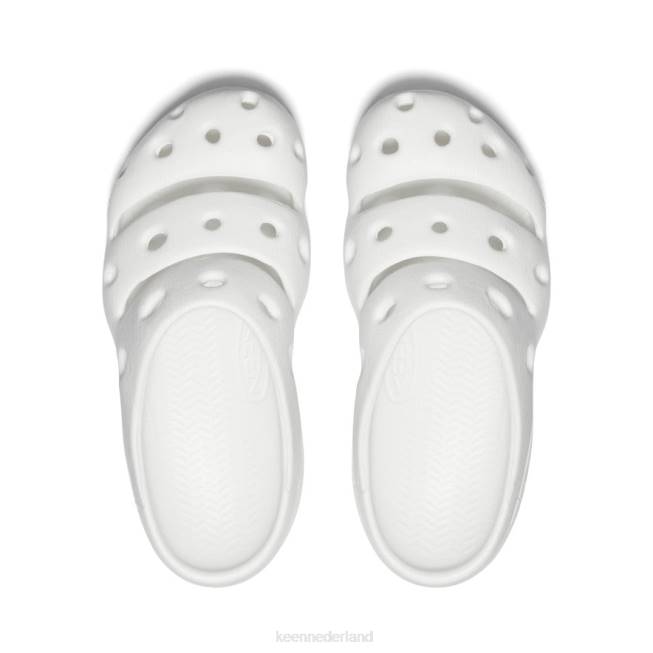 KEEN yogui 804T623 schoenen sterwit/damp vrouwen