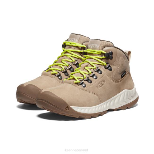 KEEN Nxis explorer waterdichte laars 804T432 schoenen safari/berk vrouwen