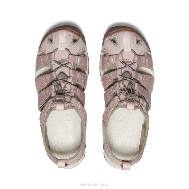 KEEN helder water cnx 804T558 schoenen houtwolf/reekalf vrouwen