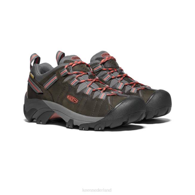 KEEN targhee ii waterdicht 804T541 schoenen magneet/koraal vrouwen