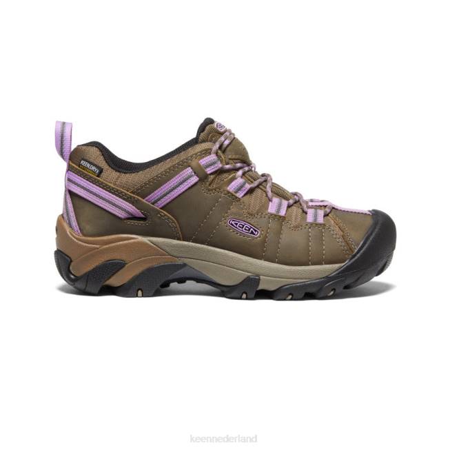 KEEN targhee ii waterdicht 804T542 schoenen Timberwolf/Engelse lavendel vrouwen